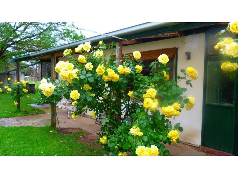 1591 Lucindale Road, Spence SA 5271