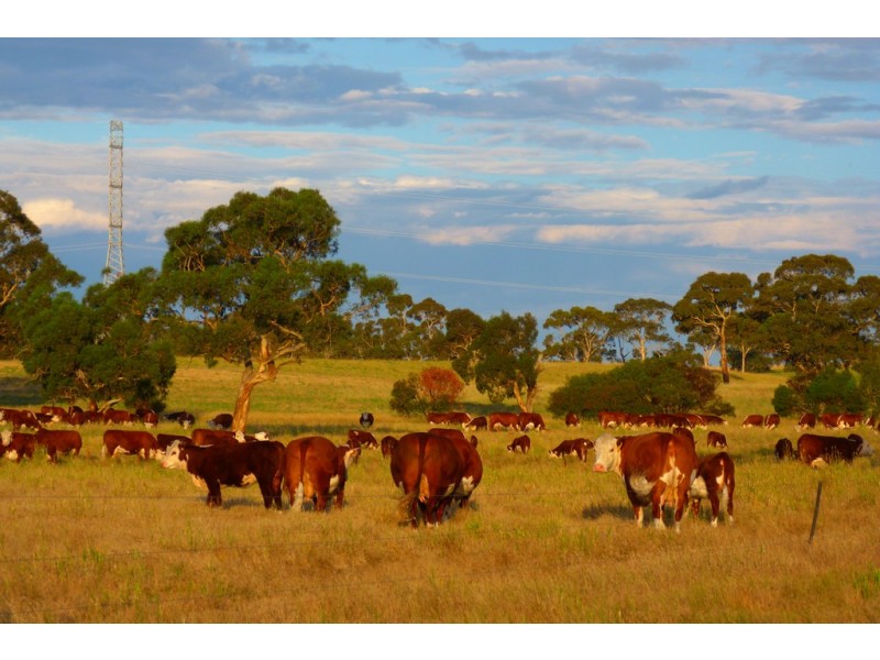 1591 Lucindale Road, Spence SA 5271