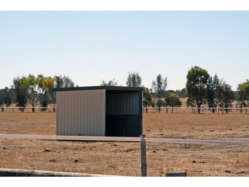 95 Carthy Road, Naracoorte SA 5271