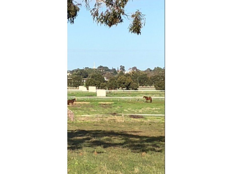 95 Carthy Road, Naracoorte SA 5271