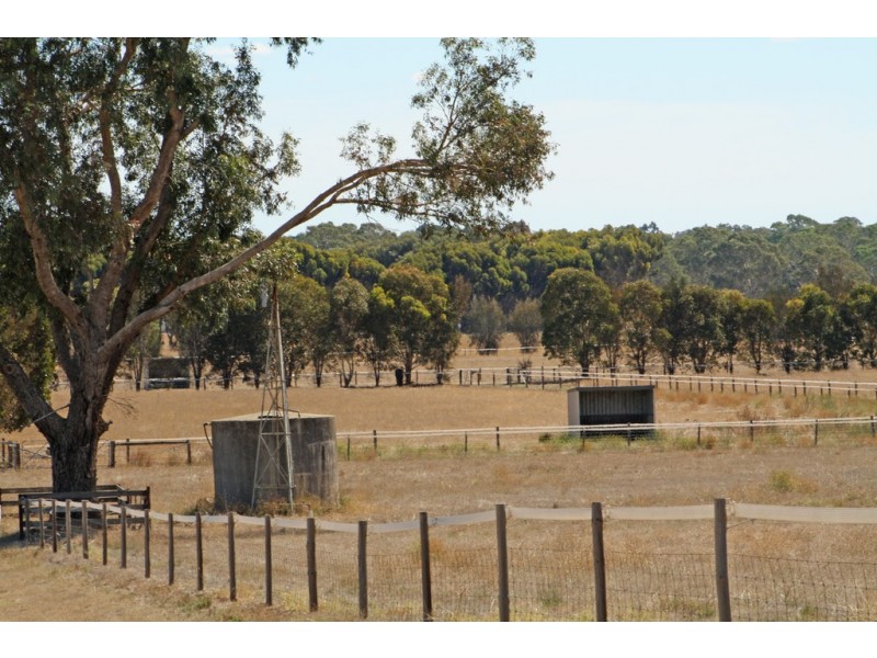 95 Carthy Road, Naracoorte SA 5271