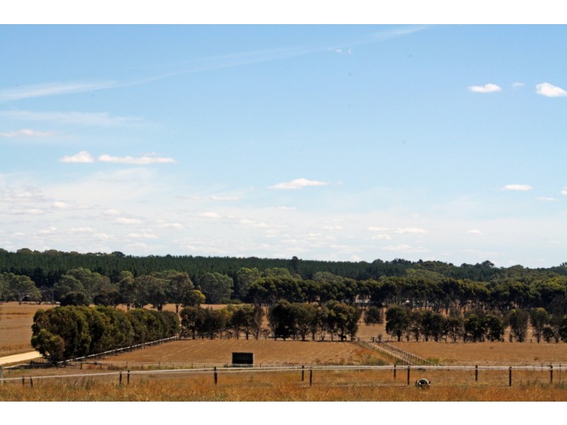 95 Carthy Road, Naracoorte SA 5271