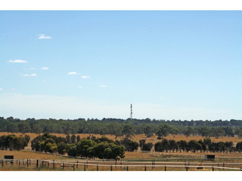 95 Carthy Road, Naracoorte SA 5271