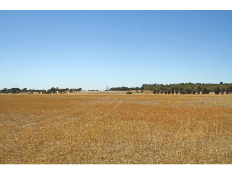 95 Carthy Road, Naracoorte SA 5271