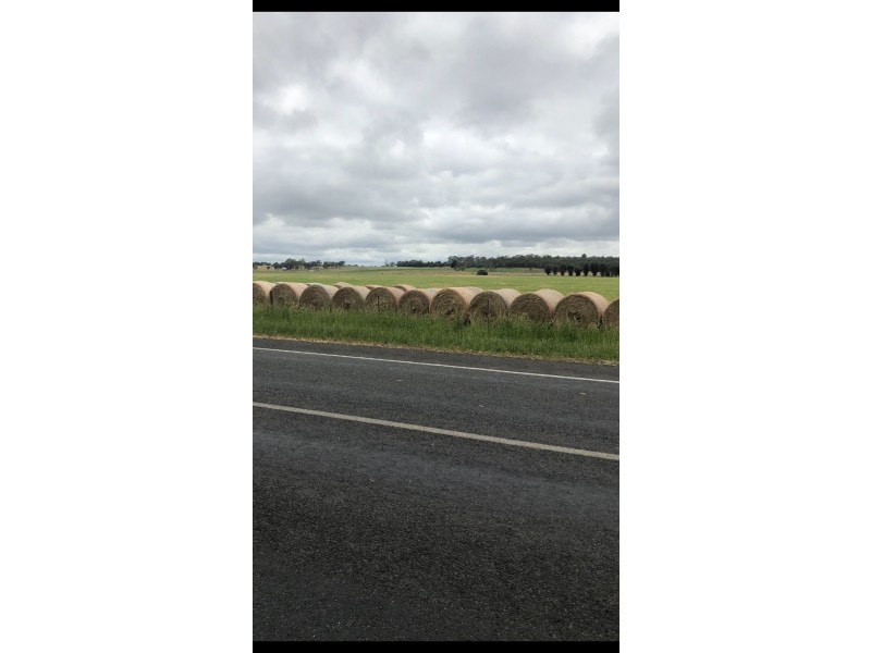 95 Carthy Road, Naracoorte SA 5271