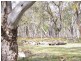 Joanna Road, Naracoorte SA 5271