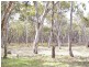Joanna Road, Naracoorte SA 5271