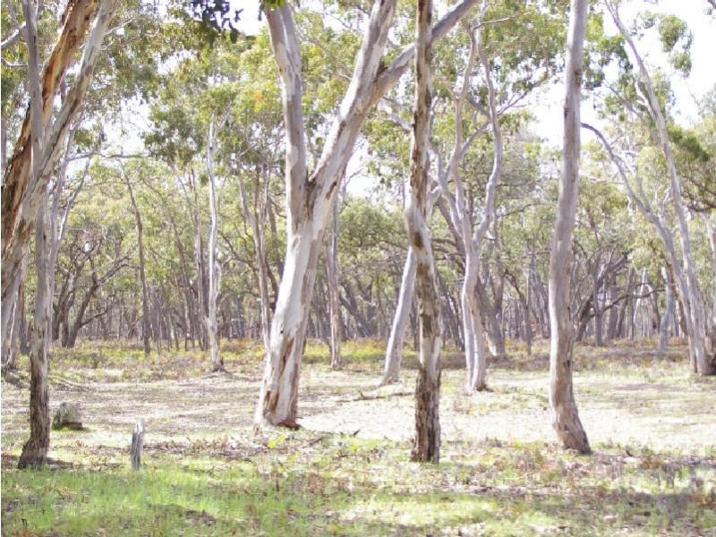 Joanna Road, Naracoorte SA 5271