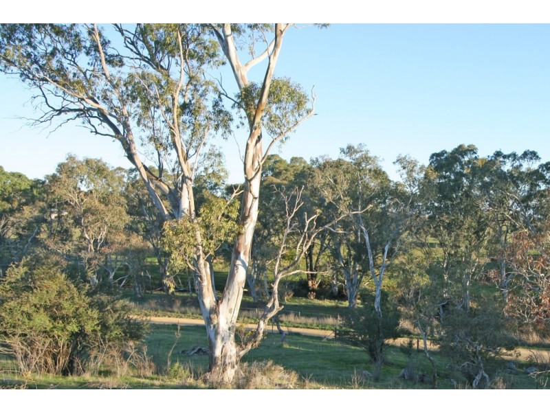 Lot 7 Higgs Road, Naracoorte SA 5271