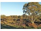 Lot 7 Higgs Road, Naracoorte SA 5271