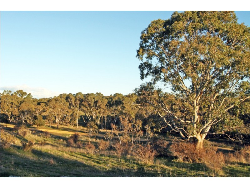 Lot 7 Higgs Road, Naracoorte SA 5271