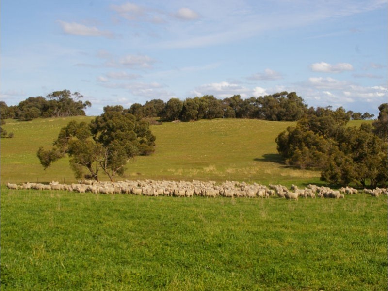‘Kangoora’ Marcollat Road, Lucindale SA 5272