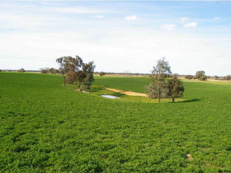 ‘Kangoora’ Marcollat Road, Lucindale SA 5272