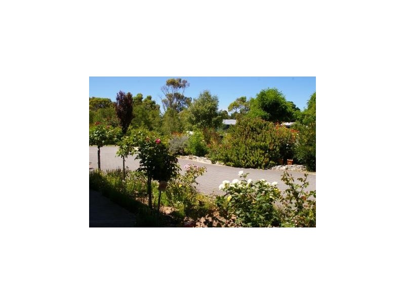 178 Gordon Street, Naracoorte SA 5271