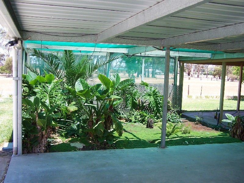 208 Hilliers Road, Mundulla SA 5270