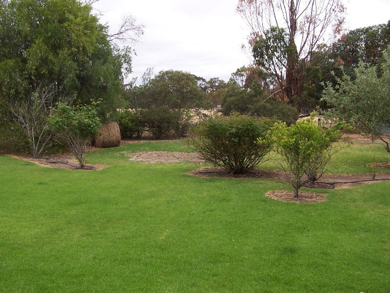 208 Hilliers Road, Mundulla SA 5270