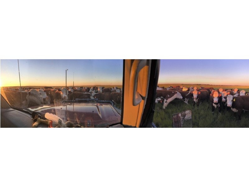 Lot 91 Robertson Hundred Line Road, Moyhall SA 5271