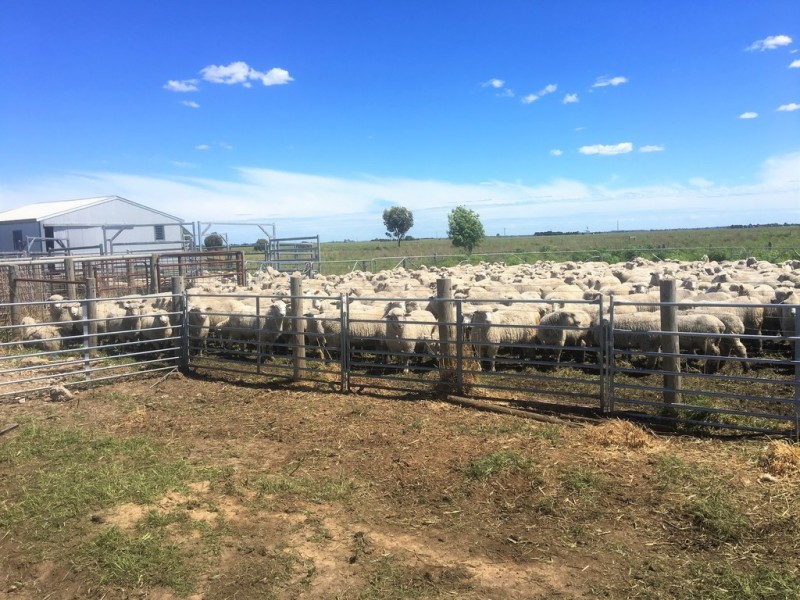 Lot 91 Robertson Hundred Line Road, Moyhall SA 5271