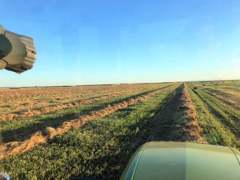 Lot 91 Robertson Hundred Line Road, Moyhall SA 5271