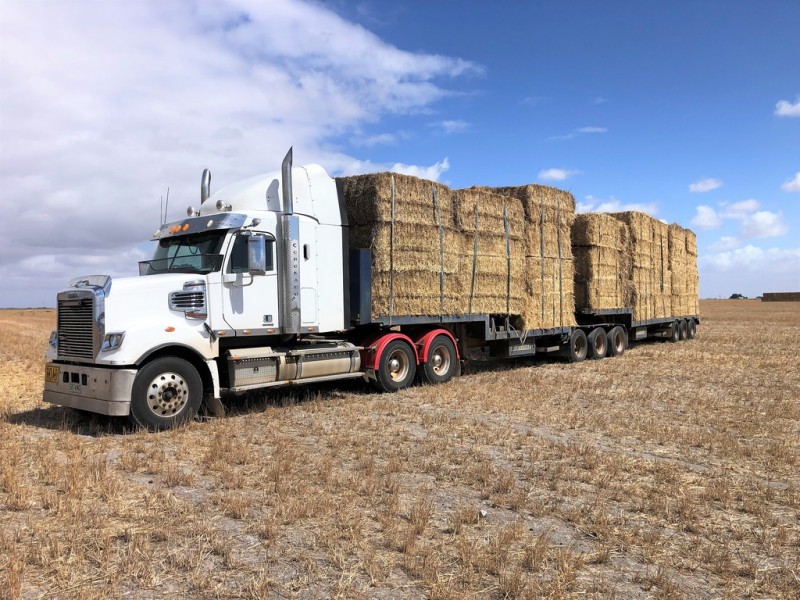 Lot 91 Robertson Hundred Line Road, Moyhall SA 5271