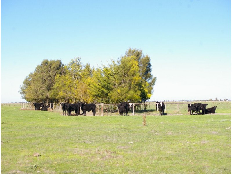 Lochaber Plains, Naracoorte SA 5271