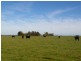 Lochaber Plains, Naracoorte SA 5271