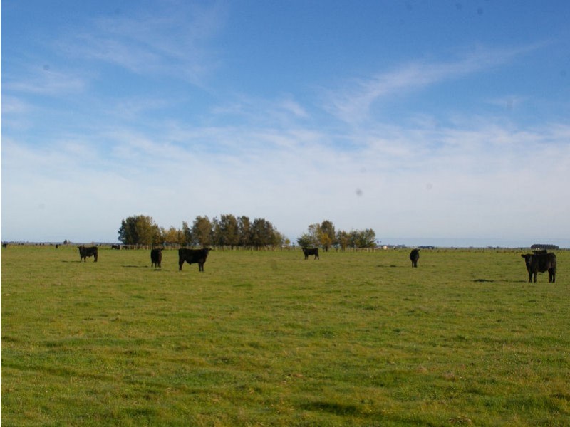 Lochaber Plains, Naracoorte SA 5271