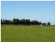 Lochaber Plains, Naracoorte SA 5271