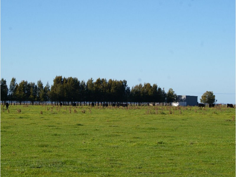 Lochaber Plains, Naracoorte SA 5271