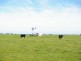 Lochaber Plains, Naracoorte SA 5271