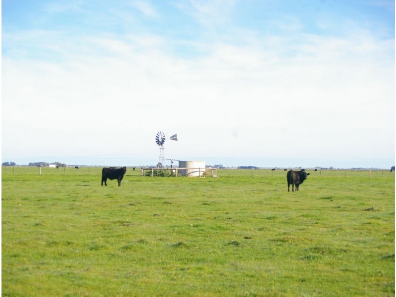 Lochaber Plains, Naracoorte SA 5271