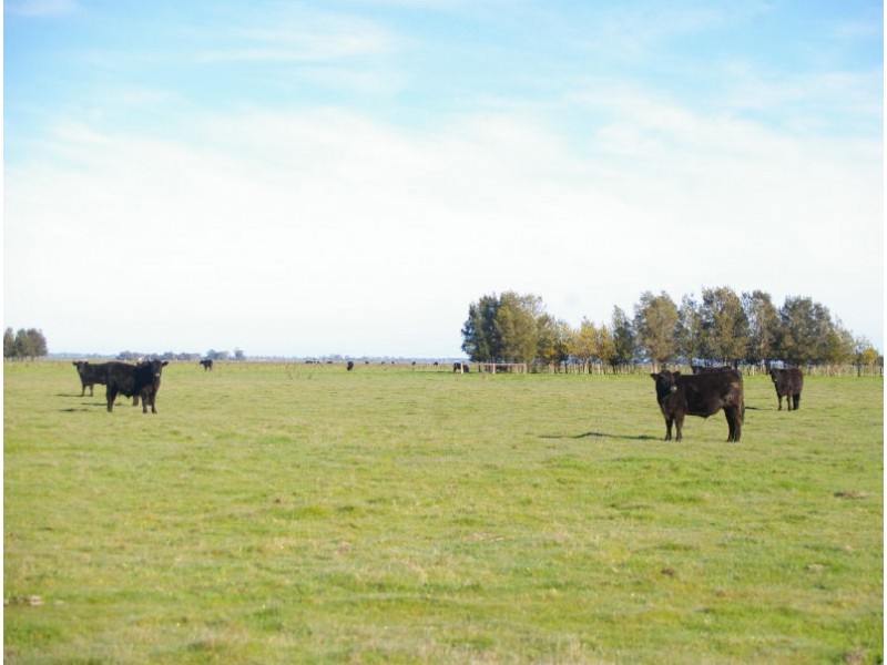 Lochaber Plains, Naracoorte SA 5271