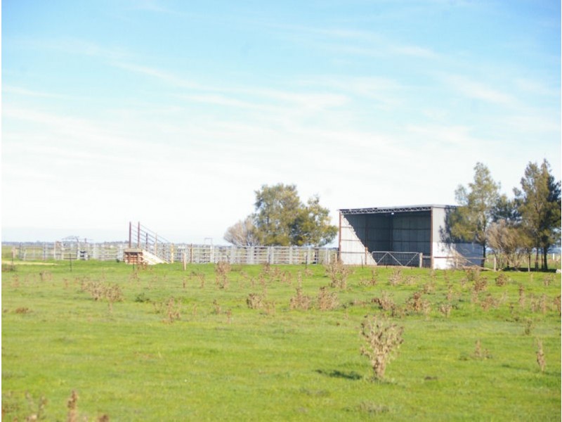 Lochaber Plains, Naracoorte SA 5271