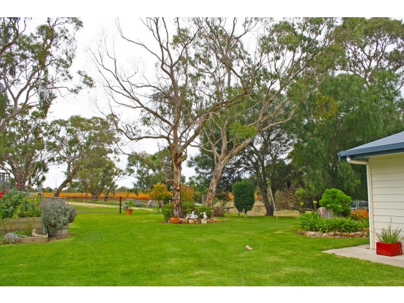 33 Wilkins Road, Naracoorte SA 5271