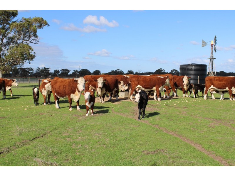 524 Bool Lagoon West Road, Bool Lagoon SA 5271