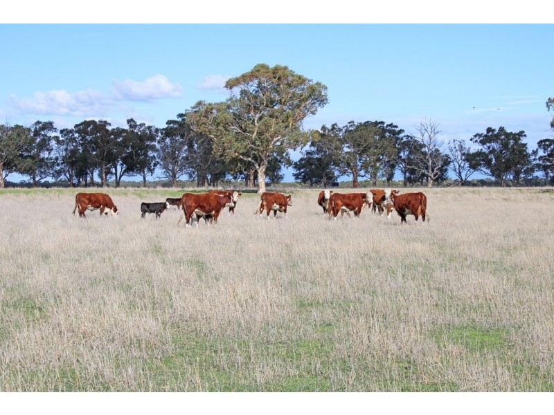 524 Bool Lagoon West Road, Bool Lagoon SA 5271