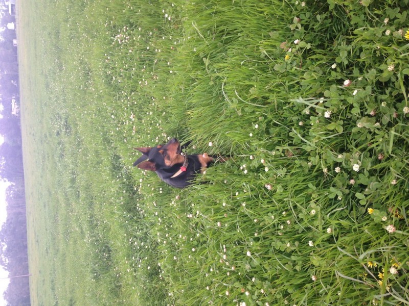 524 Bool Lagoon West Road, Bool Lagoon SA 5271