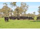 124 Pallants Road, Hynam SA 5262
