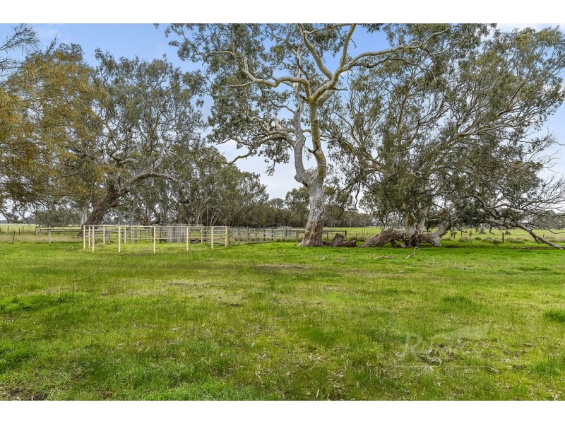 124 Pallants Road, Hynam SA 5262