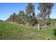 124 Pallants Road, Hynam SA 5262