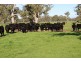 124 Pallants Road, Hynam SA 5262