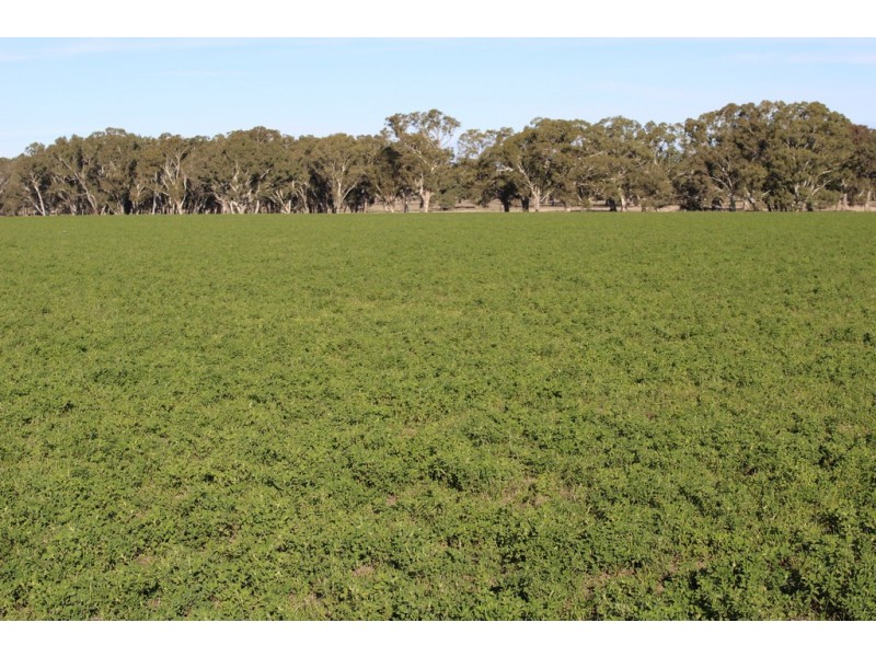 124 Pallants Road, Hynam SA 5262