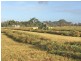 124 Pallants Road, Hynam SA 5262