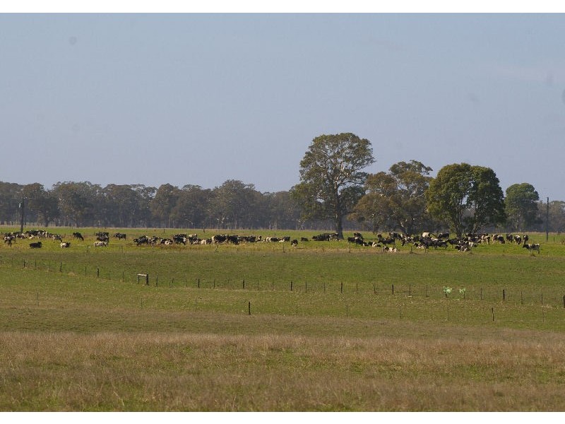 “Wayleen” Nambour Rd, Naracoorte SA 5271