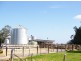 “Wayleen” Nambour Rd, Naracoorte SA 5271