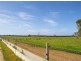 “Wayleen” Nambour Rd, Naracoorte SA 5271