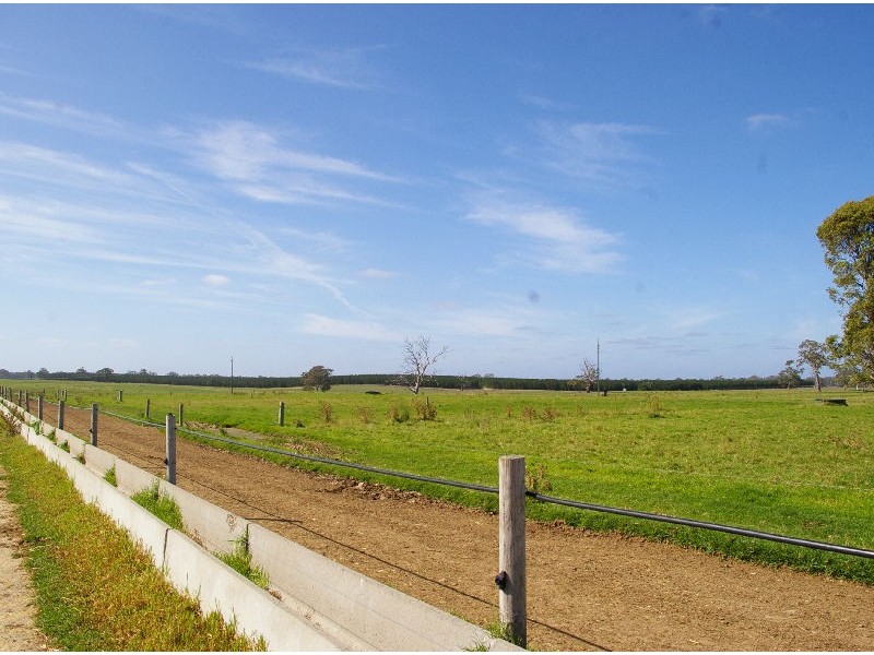 “Wayleen” Nambour Rd, Naracoorte SA 5271