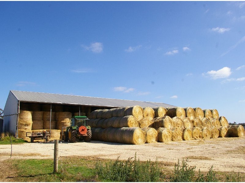 “Wayleen” Nambour Rd, Naracoorte SA 5271