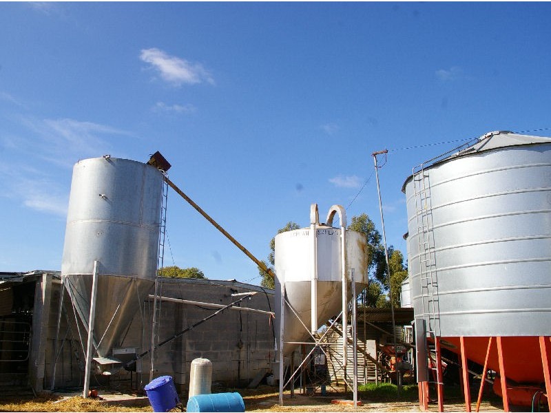 “Wayleen” Nambour Rd, Naracoorte SA 5271