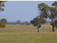 “Wayleen” Nambour Rd, Naracoorte SA 5271